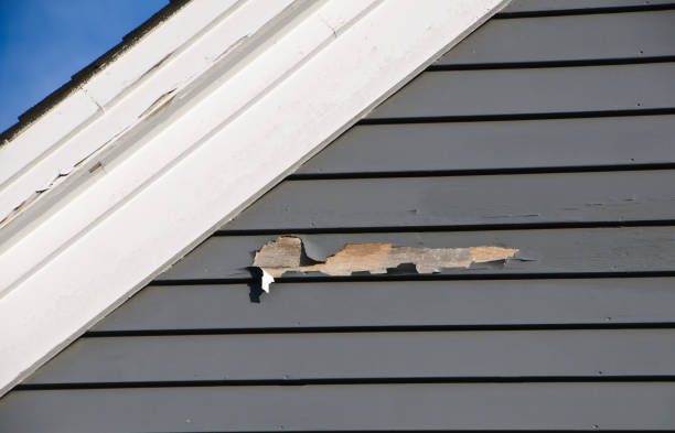 Professional Siding in Riddle, OR